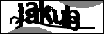 متن برای شناسایی